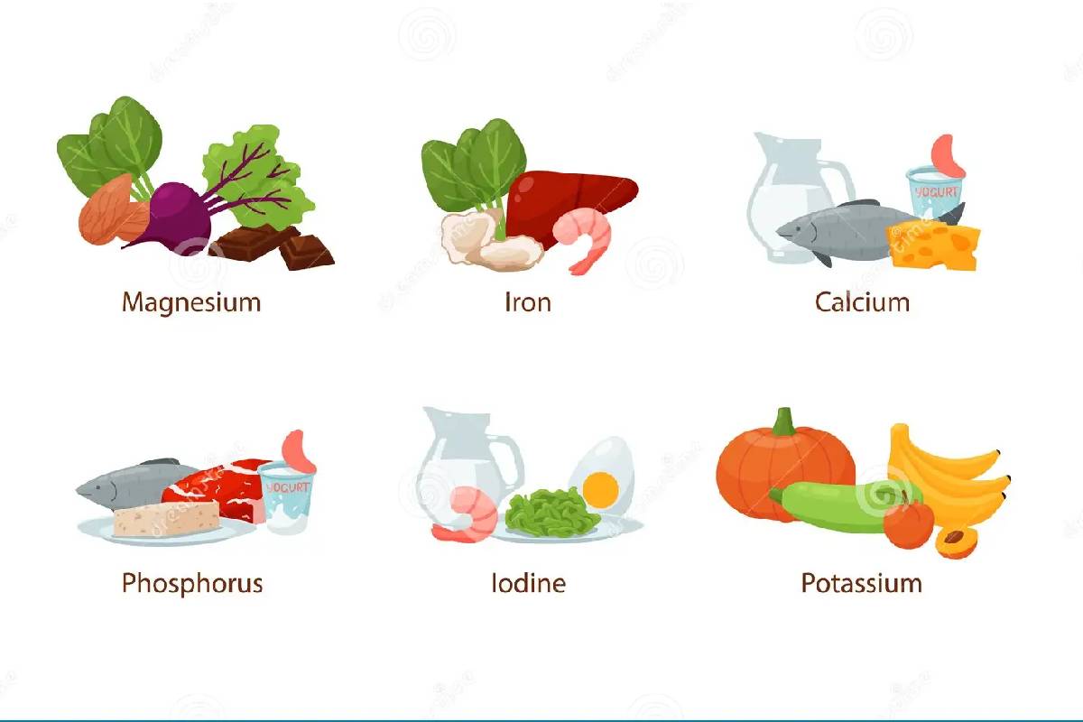 رژیم غذایی حاوی مواد معدنی جهت پیشگیری از درد ساق پا